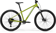 BIG.NINE 20 Fall Green(Silvergreen)