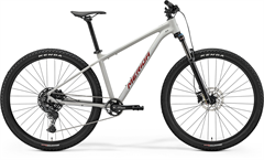 BIG.NINE 200 Matt Grey(Glitter Cherry)