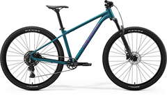 BIG.NINE 40 Silk Dark Teal(Purple)