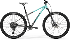 BIG.NINE 400 Silk Teal/Gunmetal Grey(Black)