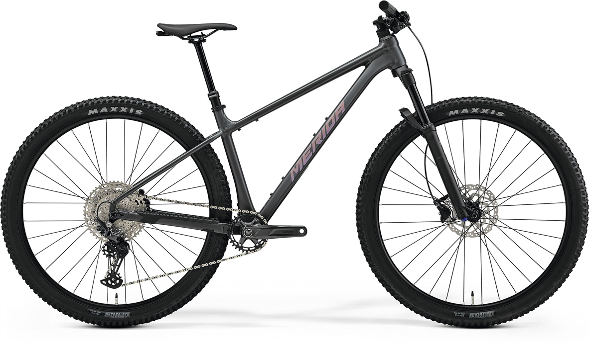 BIG.NINE TR 700 Silk Dark Grey(Rainbow Purple)