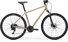 CROSSWAY 100 High Cream(Grey)