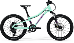 MATTS J.20 Matt Mint(Purple/Wht/Blk)