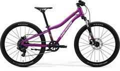 MATTS J.24 Silk Purple(Wht/Red/Blk)
