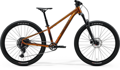 MATTS J.CHAMPION Wild Honey(Black) 