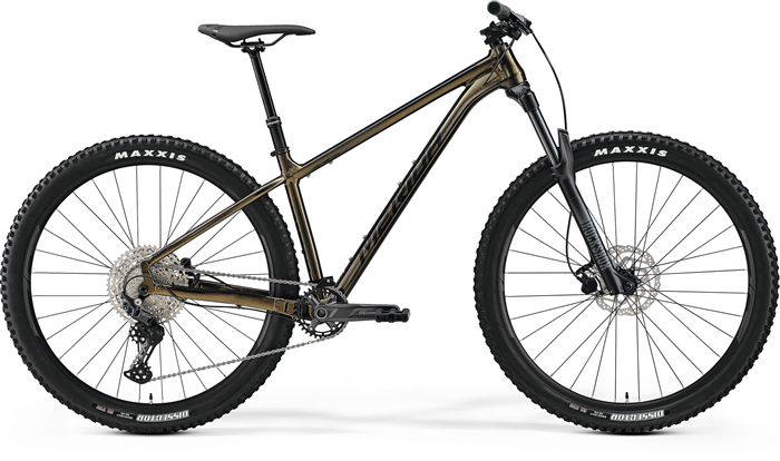 MERIDA BIG.TRAIL 500 Sparkling Gold(Black)