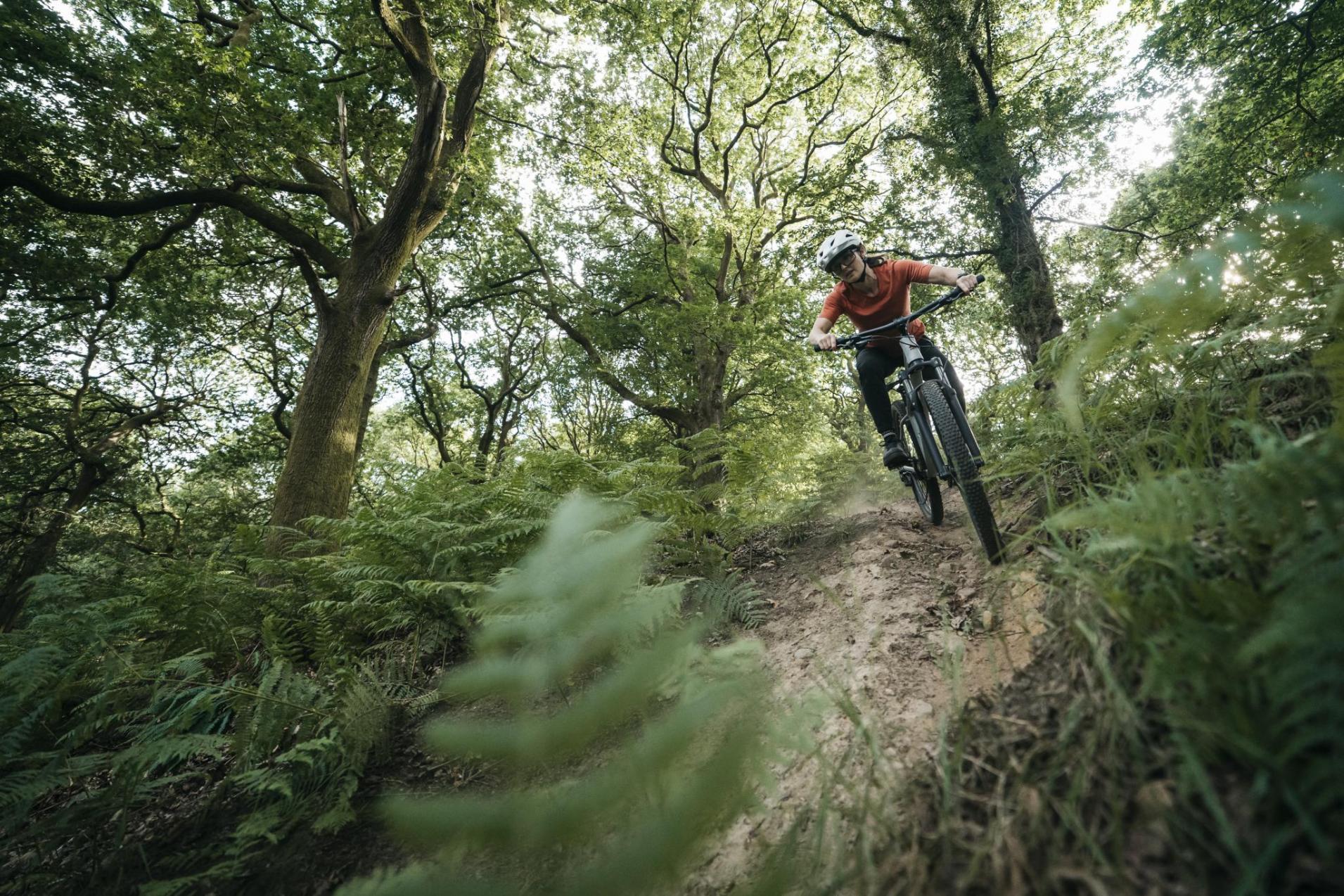 Detail hlavové trubky